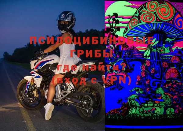 гидра Козельск