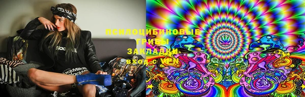 гидропоника Козловка