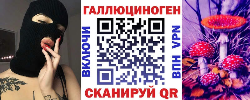 Галлюциногенные грибы Psilocybe  наркота  Юрга 