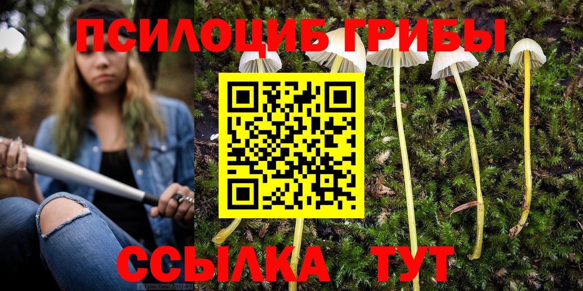 Юрга  Галлюциногенные грибы MAGIC MUSHROOMS  Вход с VPN  Галлюциногенные грибы ЛСД 